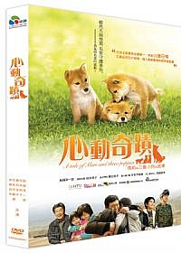 心動奇蹟封面 心動奇蹟