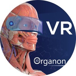 3D Organon VR Anatomy