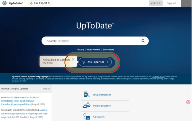 UpToDate Expert AI 臨床決策助理範例圖