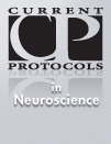 Neuroscience