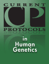 Human Genetics