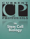 Stem Cell Biology