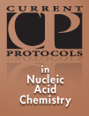 Nucleic Acid Chemistry