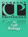 Cell Biology
