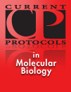 Molecular Biology