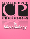 Microbiology