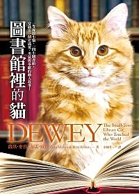 圖書館裡的貓