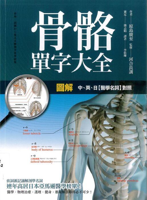骨骼單字大全封面