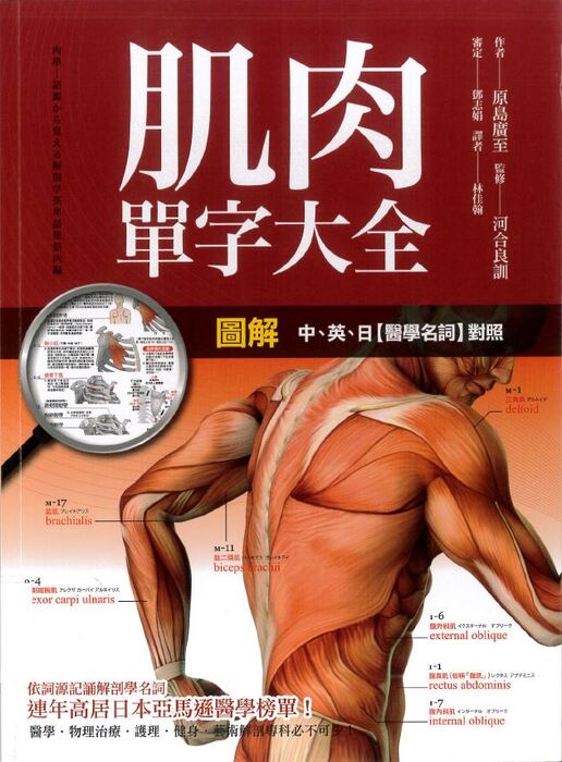肌肉單字大全封面