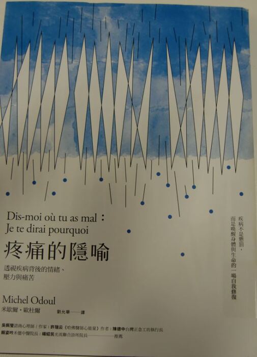 疼痛的隱喻：透視疾病背後的情緒、壓力與痛苦封面